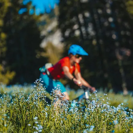 Clos Savoy - New Close To Center & Free Parking - By Cozee Chamonix