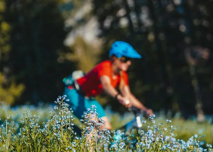 Clos Savoy - New Close To Center & Free Parking - By Cozee Chamonix